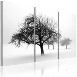 Obraz - Drzewa zanurzone w bieli