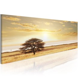 Obraz 120 x 40 cm - Lonely tree on savannah