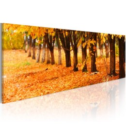 Obraz 120 x 40 cm - Park covered with golden leaves