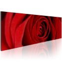 Obraz 120 x 40 cm - Róża północy