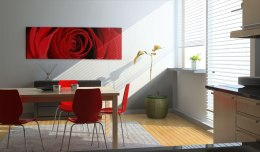 Obraz 120 x 40 cm - Róża północy