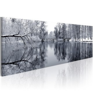 Obraz - Zimowy widok