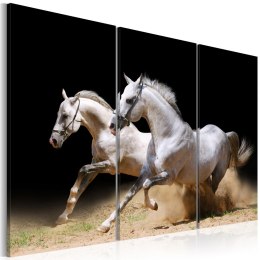 Obraz - Konie - moc i prędkość