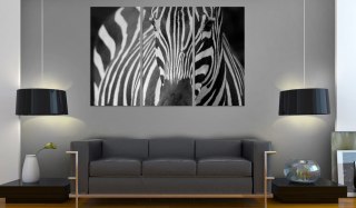 Obraz - Pani Zebra