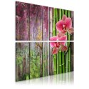 Kwadratowy Obraz - Bambus i orchidea
