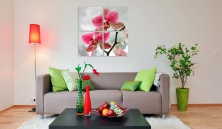 Kwadratowy Obraz - Różowa orchidea, 4 części