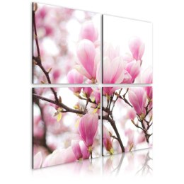 Obraz - Kwitnące drzewo magnolii
