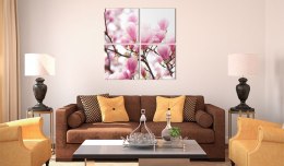 Obraz - Kwitnące drzewo magnolii