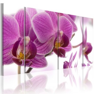 Obraz 3-częściowy - Fioletowe Orchidee
