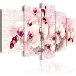 Obraz 5-częściowy - Różowe orchidee