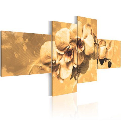 Obraz - Orchidee w sepii Obraz - Orchidee w sepii