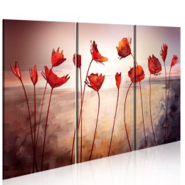 Obraz - Bright red poppies
