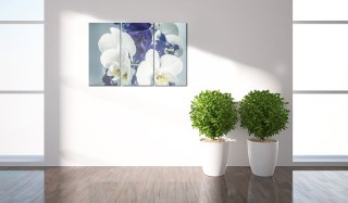 Obraz - Chimeryczne orchidee