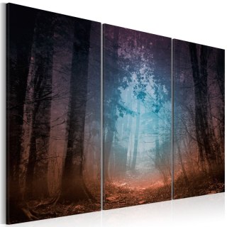 Obraz - Edge of the forest - tryptyk