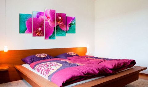 Obraz 5-częściowy - Różowa Orchidea Obraz 5-częściowy - Różowa Orchidea