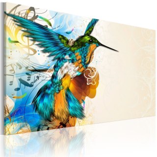 Obraz - Bird's music - Koliber