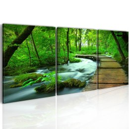 Obraz 120 x 40 cm - Leśny deptak - tryptyk