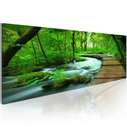 Obraz 120 x 40 cm - Leśny deptak