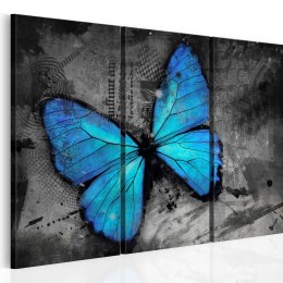 Obraz - Błękitny Motyl