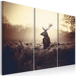 Obraz - Dzika natura, Jeleń