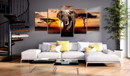 Obraz - Wędrówka słonia