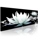 Obraz 150 x 50 cm - Alabastrowe lilie