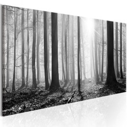 Obraz 150 x 50 cm - Czarno-biały las