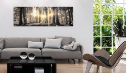 Obraz 150 x 50 cm - Leśne słońce
