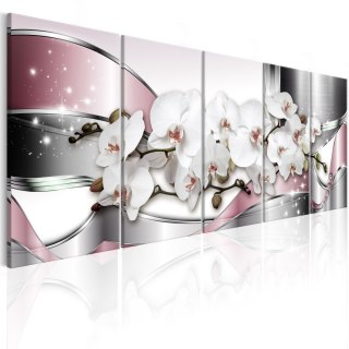 Obraz 5-częściowy - Lśniące orchidee