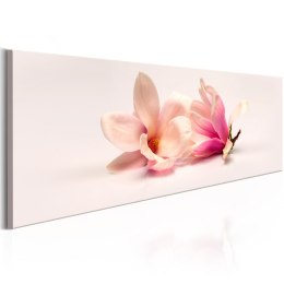 Obraz 150 x 50 cm - Piękne magnolie