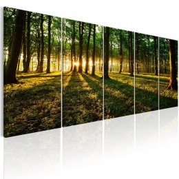 Obraz 225 x 90 cm - Cień drzew I