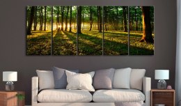 Obraz 225 x 90 cm - Cień drzew I