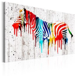 Obraz - Kolorowa zebra