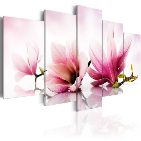 Obraz - Magnolie: różowe kwiaty