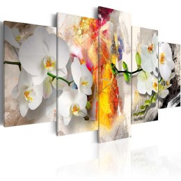 Obraz - Orchidea i kolory