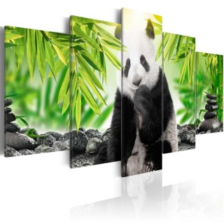 Obraz 5-częściowy - Słodka mała panda