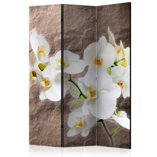 Parawan 3-częściowy - Nieskazitelność orchidei 