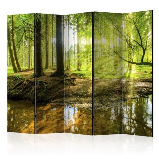 Parawan 5-częściowy - Leśne jezioro II 