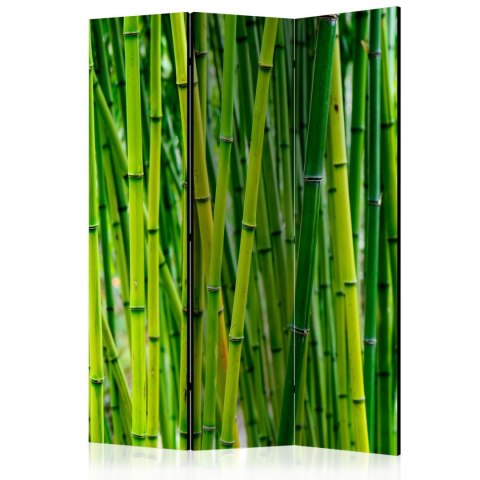 Parawan 3-częściowy - Bambusowy las 