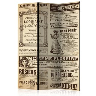Parawan 3-częściowy - Vintage Magazines 