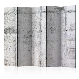 Parawan 5-częściowy - Betonowa ściana II 