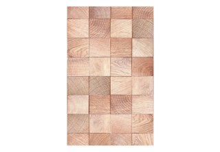 Tapeta na ścianę 10 m - Drewniana geometria