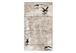 Tapeta na ścianę 10 m - Wędrówki ptaków