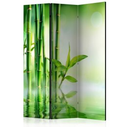 Parawan 3-częściowy - Zielony bambus 