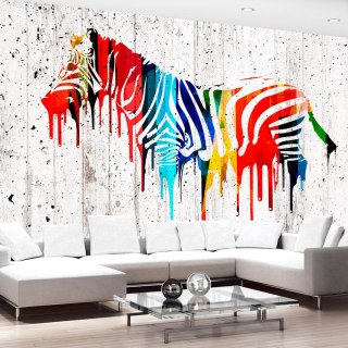 Fototapeta - Kolorowa zebra, Graffiti