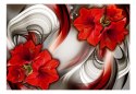 Fototapeta - Amarylis Czerwone kwiaty