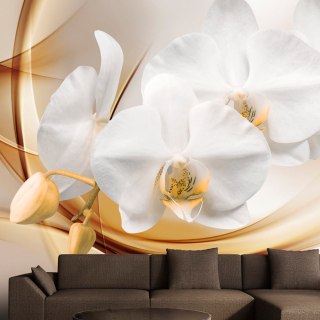 Fototapeta - Kwiat orchidei 3D