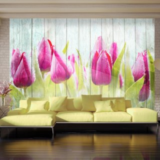 Fototapeta - Wiosna, tulipany, drewno