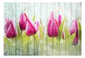 Fototapeta - Wiosna, tulipany, drewno