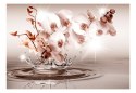 Fototapeta - Kwiaty, woda, sepia 3D